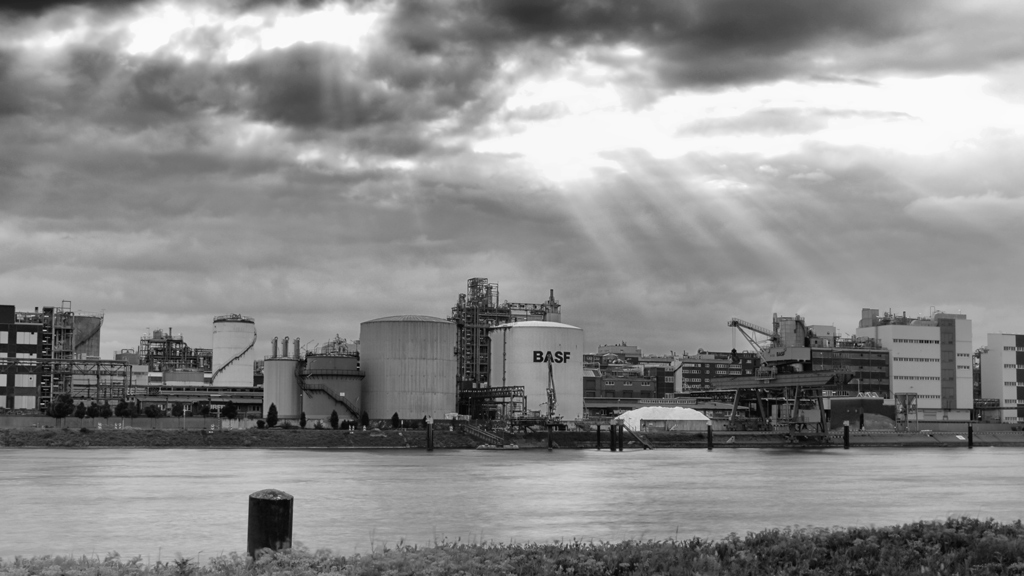 BASF 1 - black and white