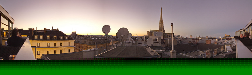 Vienna's roof tops