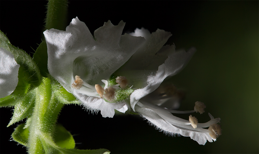 1st Try: Macro Stack